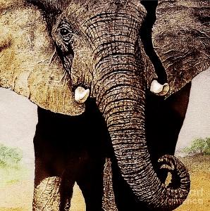 Save Our Precious Elephants 